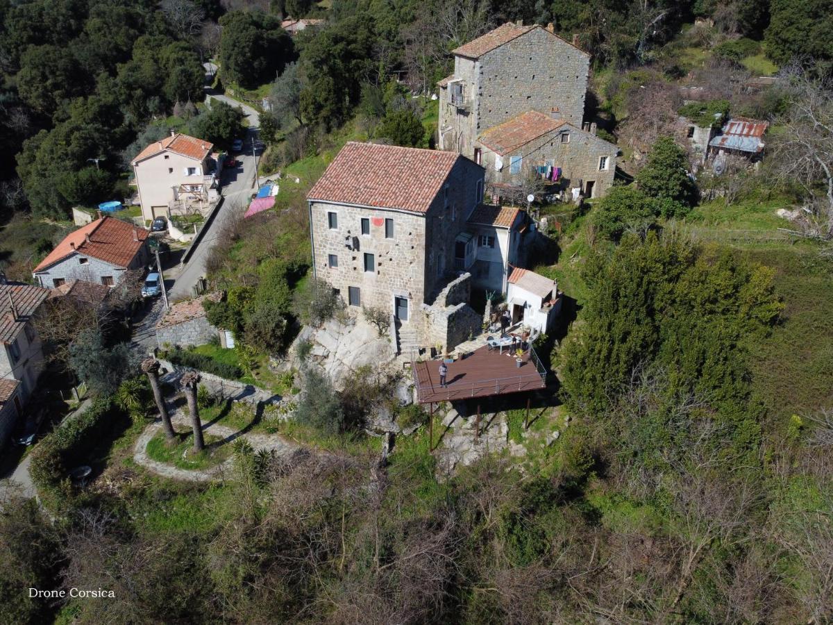 Casa Giacometti Grosseto-Prugna Luaran gambar