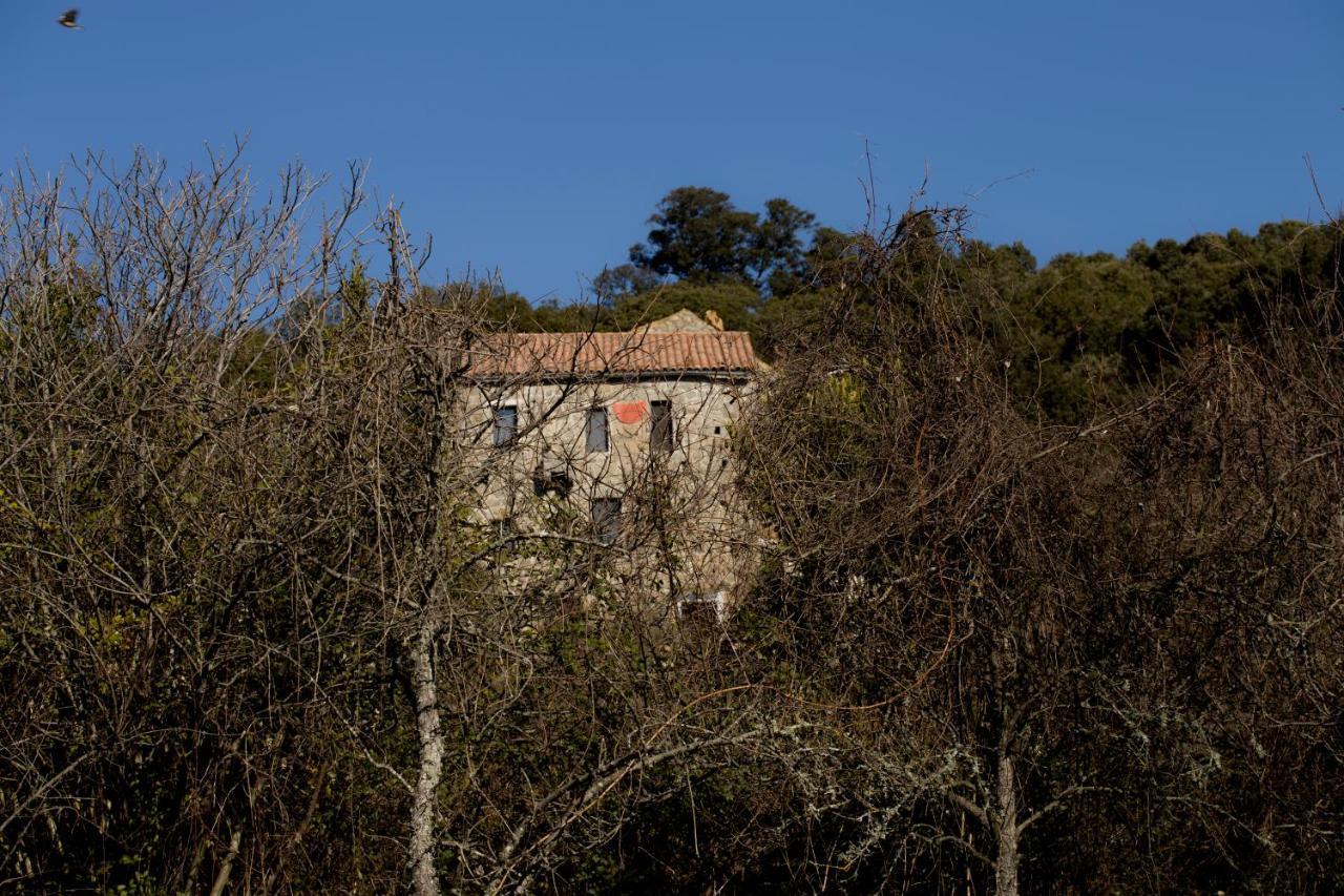 Casa Giacometti Grosseto-Prugna Luaran gambar
