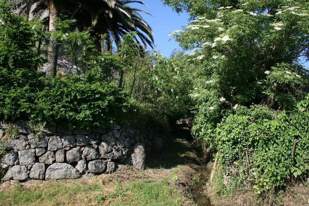 Casa Giacometti Grosseto-Prugna Bilik gambar